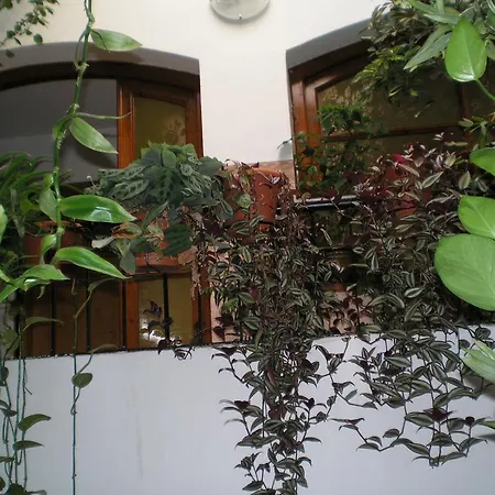 Hostal Maurin-3